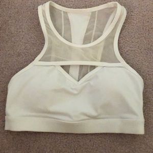 Buffbunny ambrosia bra